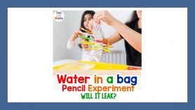 P3B Water in a Bag Pencil Experiment - Will it Leak?
